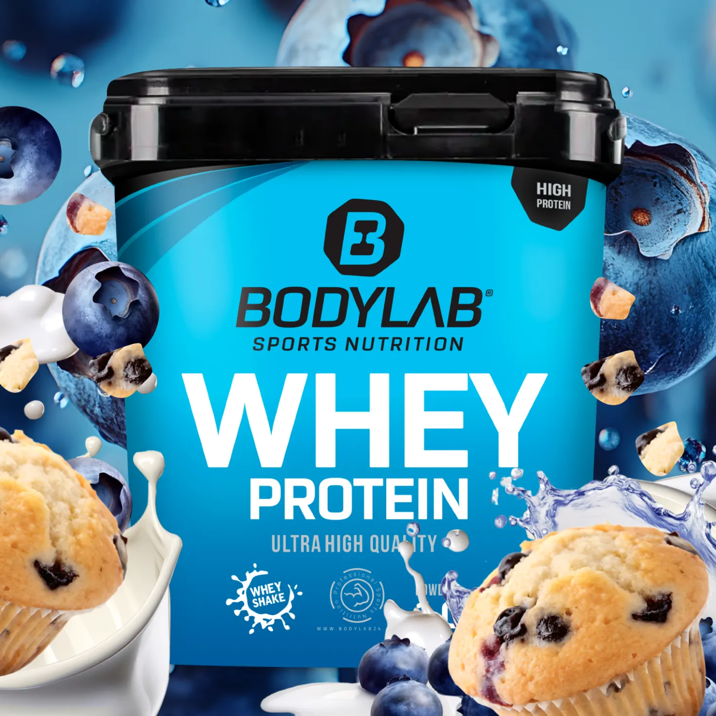 Whey Protein (1000g)