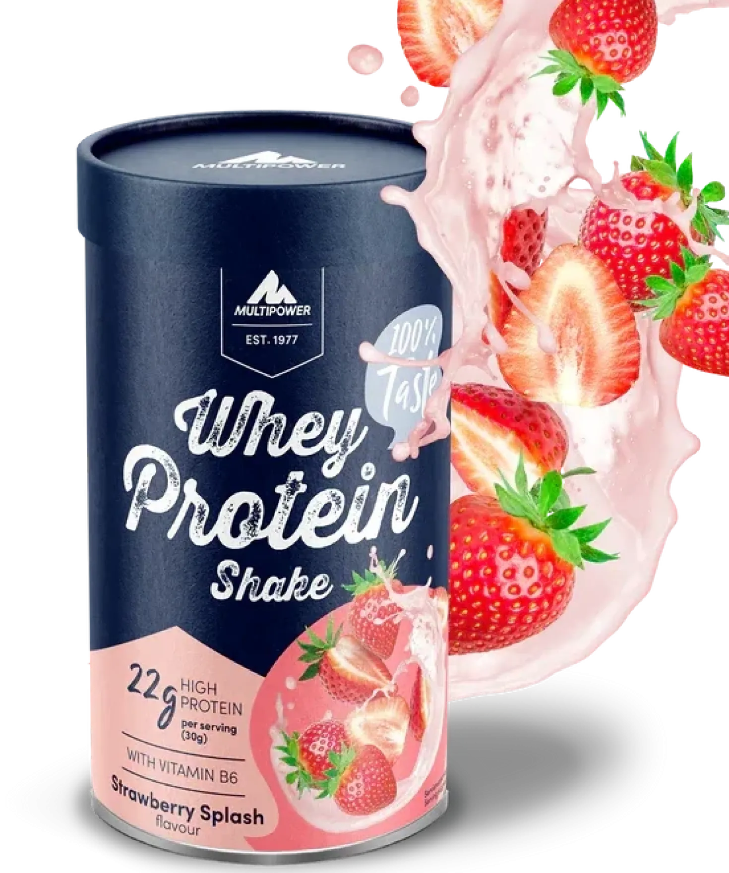 Whey Protein Shake (420g)