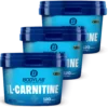 3 x Bodylab24 Acetyl L-Carnitine (je 120 Tabletten)