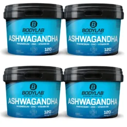 4 x Bodylab Ashwagandha + Magnesium - Zinc - Vitamin B6 (je 120 Kapseln)