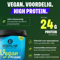 2 x Bodylab24 Vegan Protein (1000g)