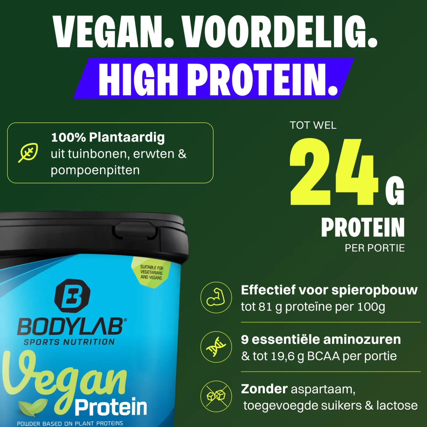 2 x Bodylab24 Vegan Protein (1000g)