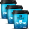 3x Creatine (Creapure®) (3x500g)