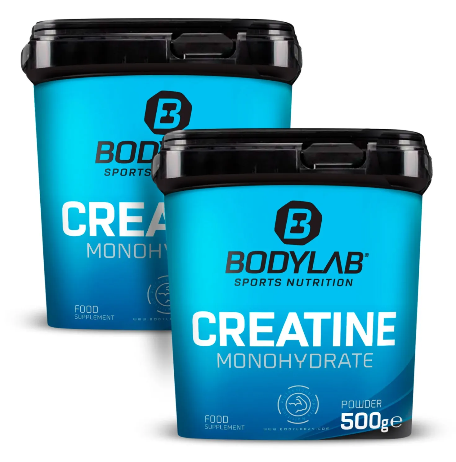 2 x Creatine Powder (500g)