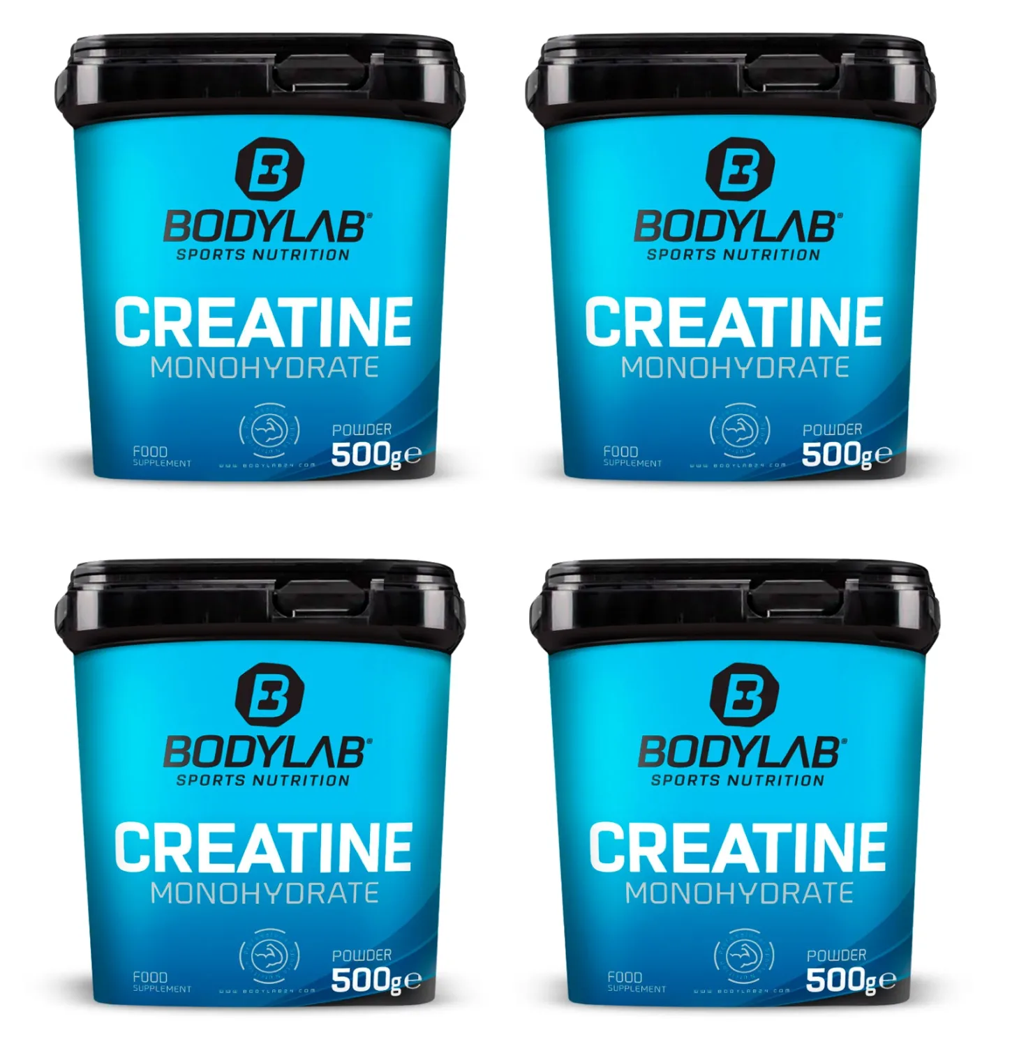 4 x Creatine Powder (500g)