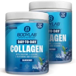 2 x Day to Day Collagen (2 x 750g)
