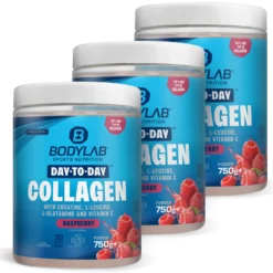 3 x Day to Day Collagen (3 x 750g)