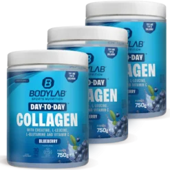 3 x Day to Day Collagen (3 x 750g)