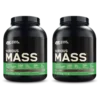 2x Serious Mass (2730g)