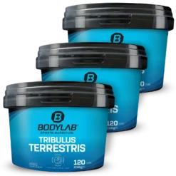 3 x Tribulus Terrestris (je 120 Tabletten)