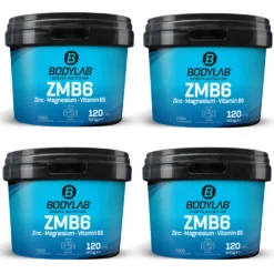 4 x ZMB6 - Zinc - Magnesium - Vitamin B6 (je 120 Kapseln)